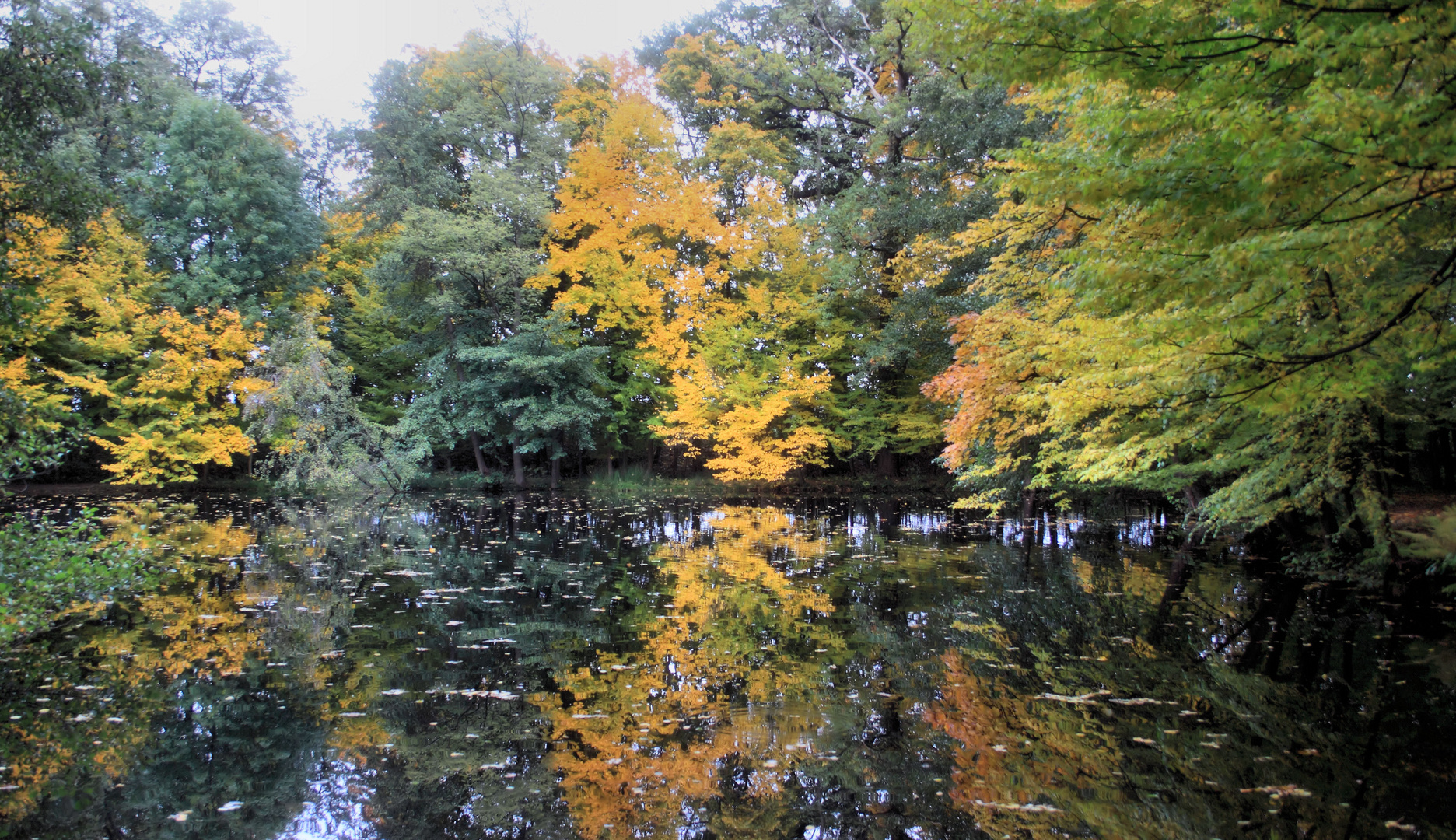 Herbststimmung Parc de Schoppenwihr, Spiegelungen im Weiher