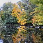 Herbststimmung Parc de Schoppenwihr, Spiegelungen im Weiher