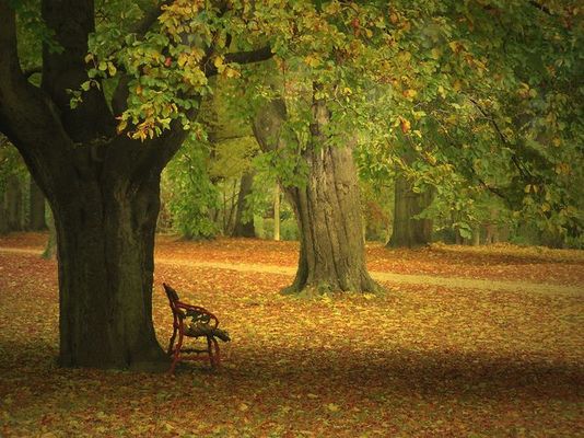 herbststimmung *reload*