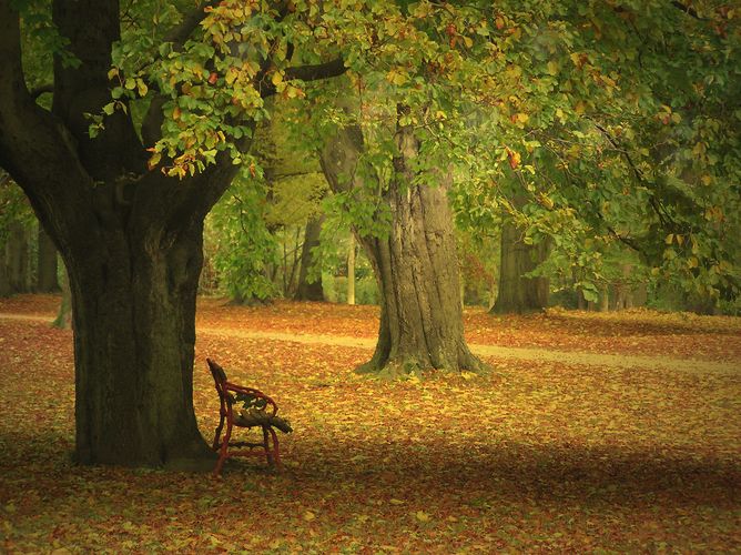 herbststimmung *reload*