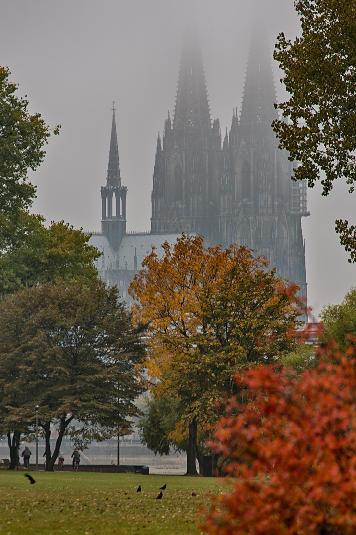 Herbststimmung Rheinpark / Köln