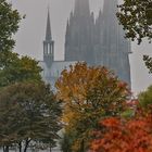 Herbststimmung Rheinpark / Köln