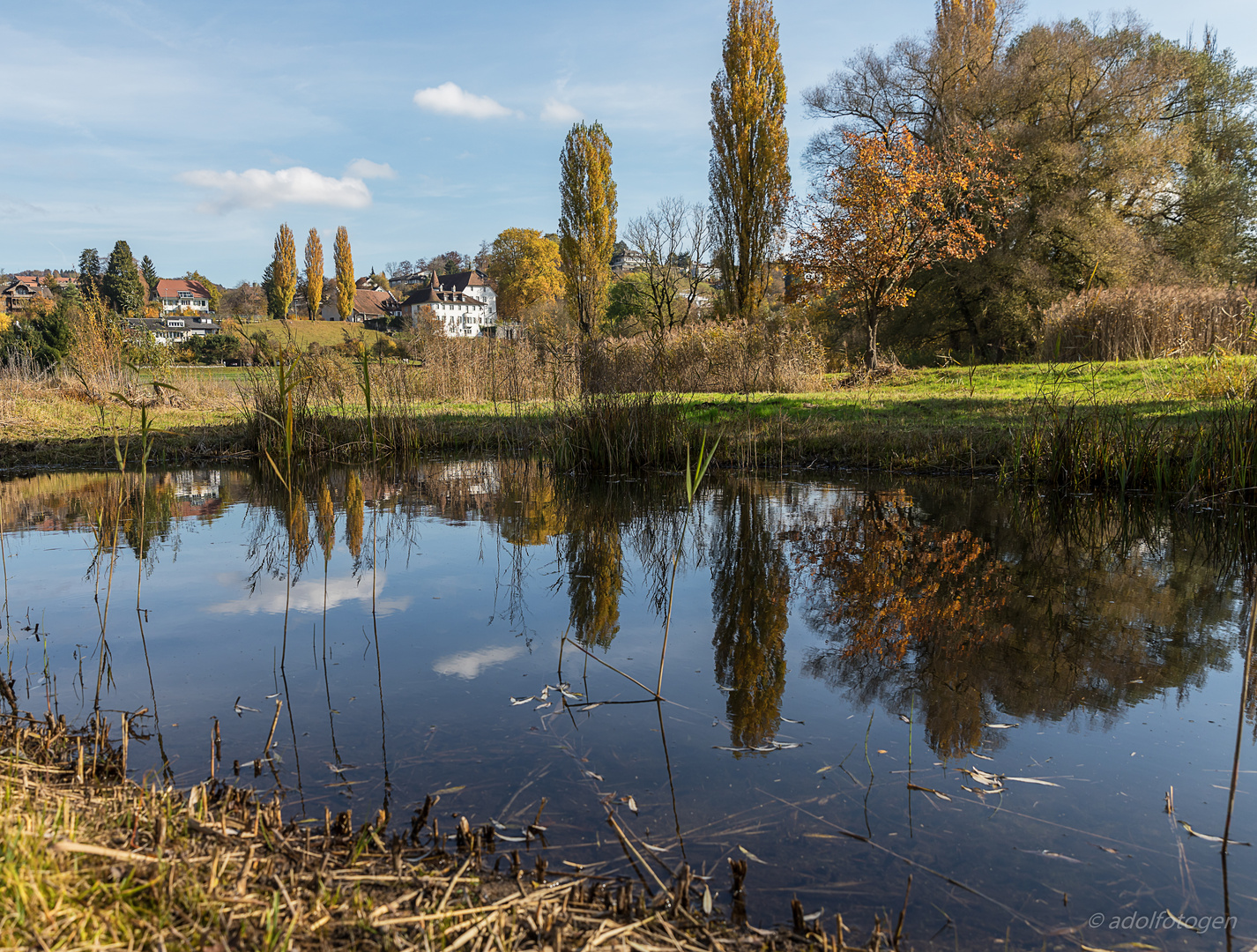 Herbststimmung Seengen