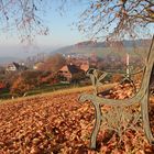 Herbststimmung Sitzbank