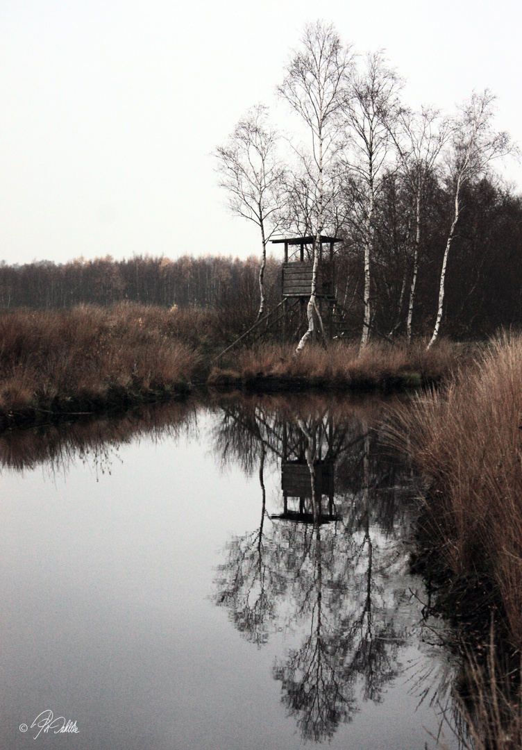 "Herbststimmung"           Spiegeltag 22.10.2019