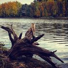 Herbststimmung "Stille am See"