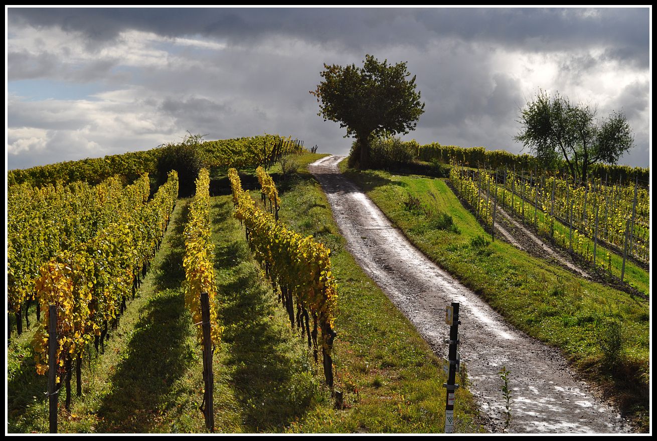 Herbststimmung.. Teil zwei