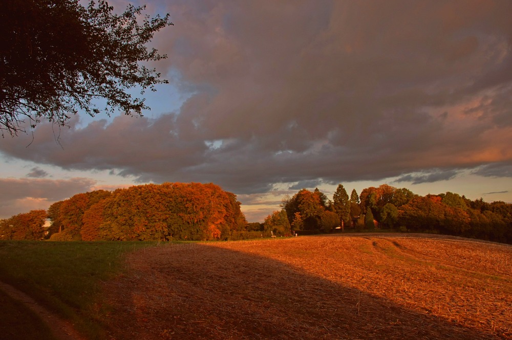 Herbststimmung über dem Feld---