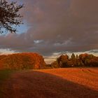 Herbststimmung über dem Feld---