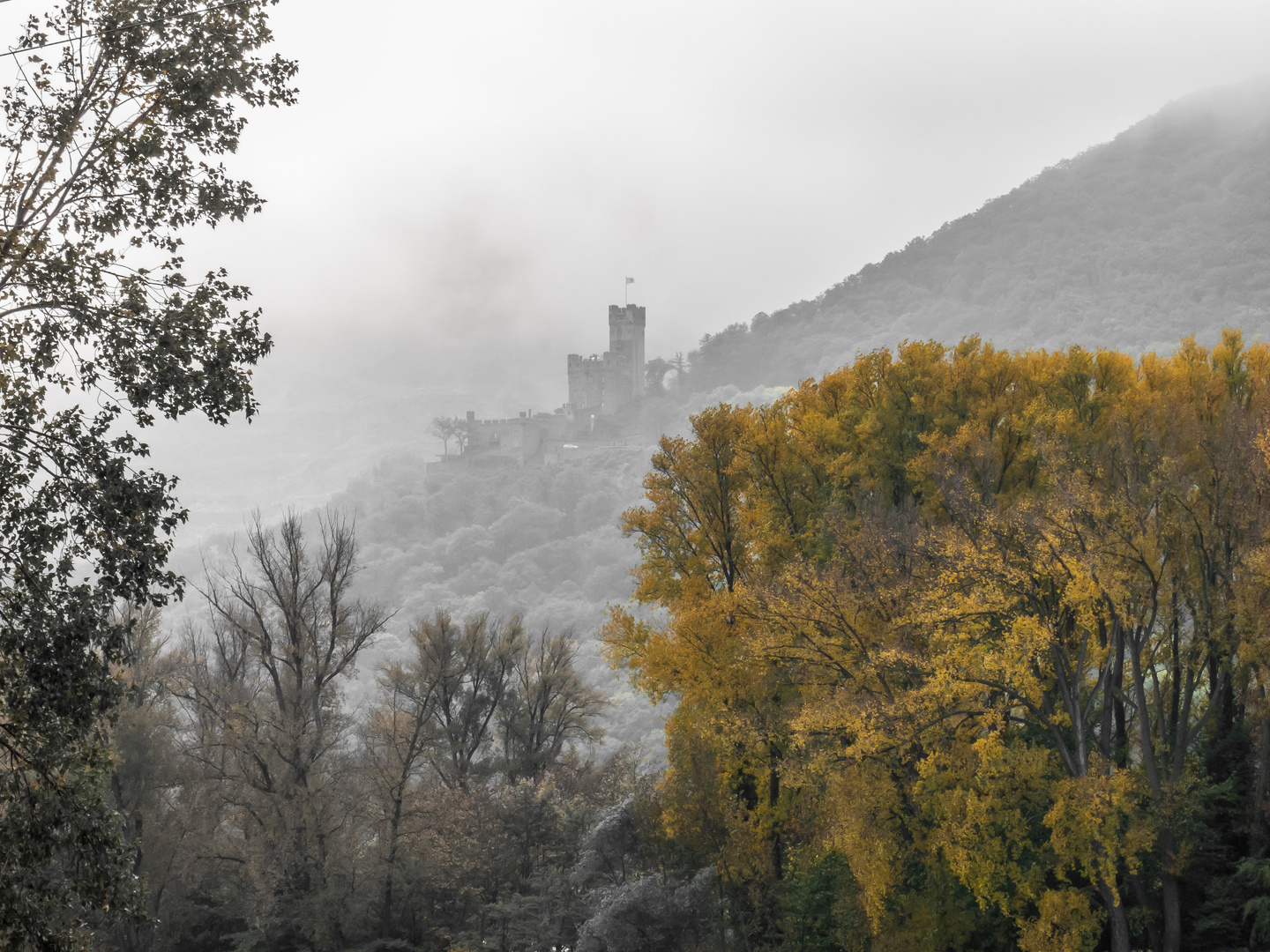 Herbststimmung über dem Rhein bei Assmannshausen