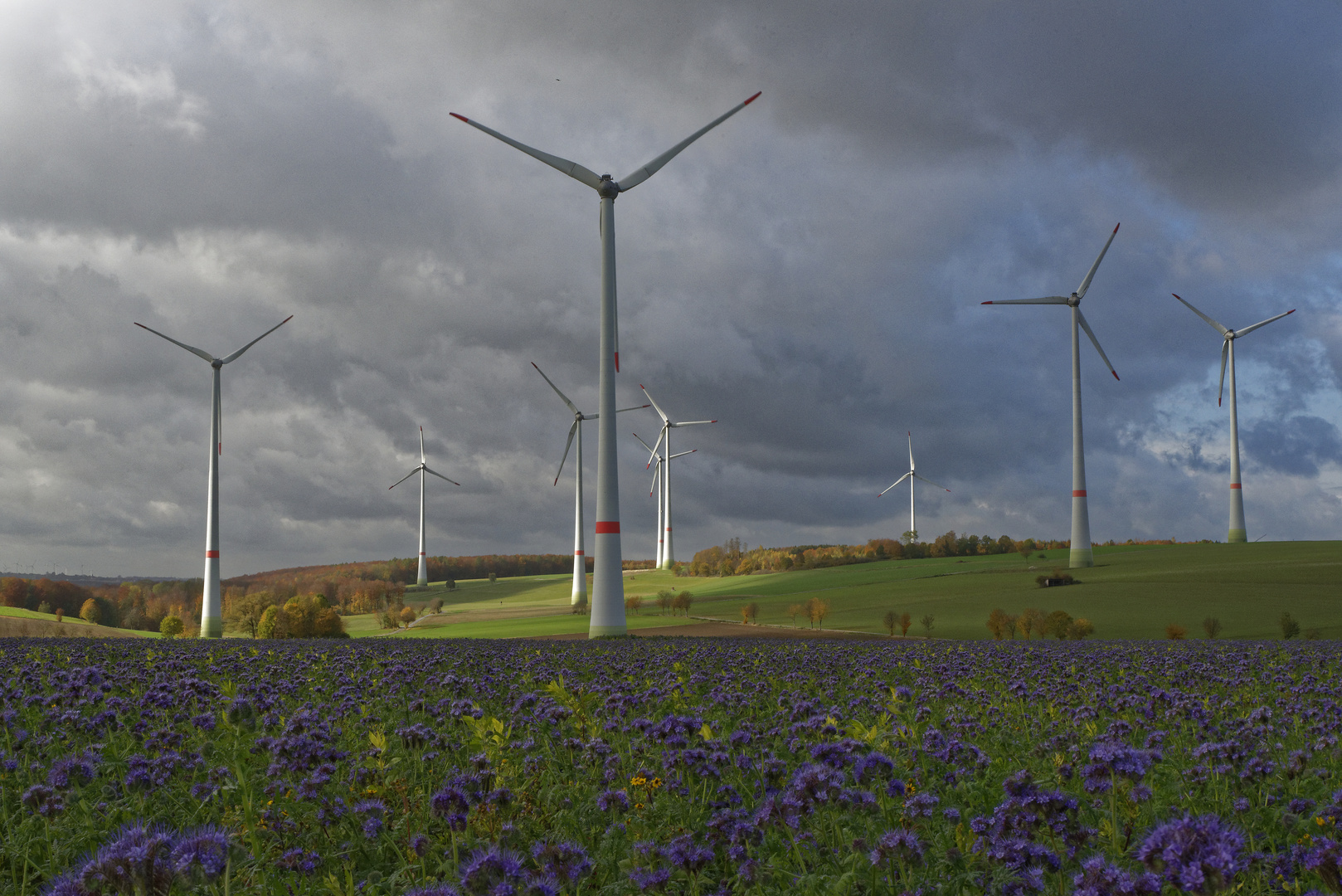 Herbststimmung über dem Windpark