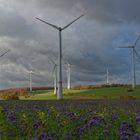 Herbststimmung über dem Windpark