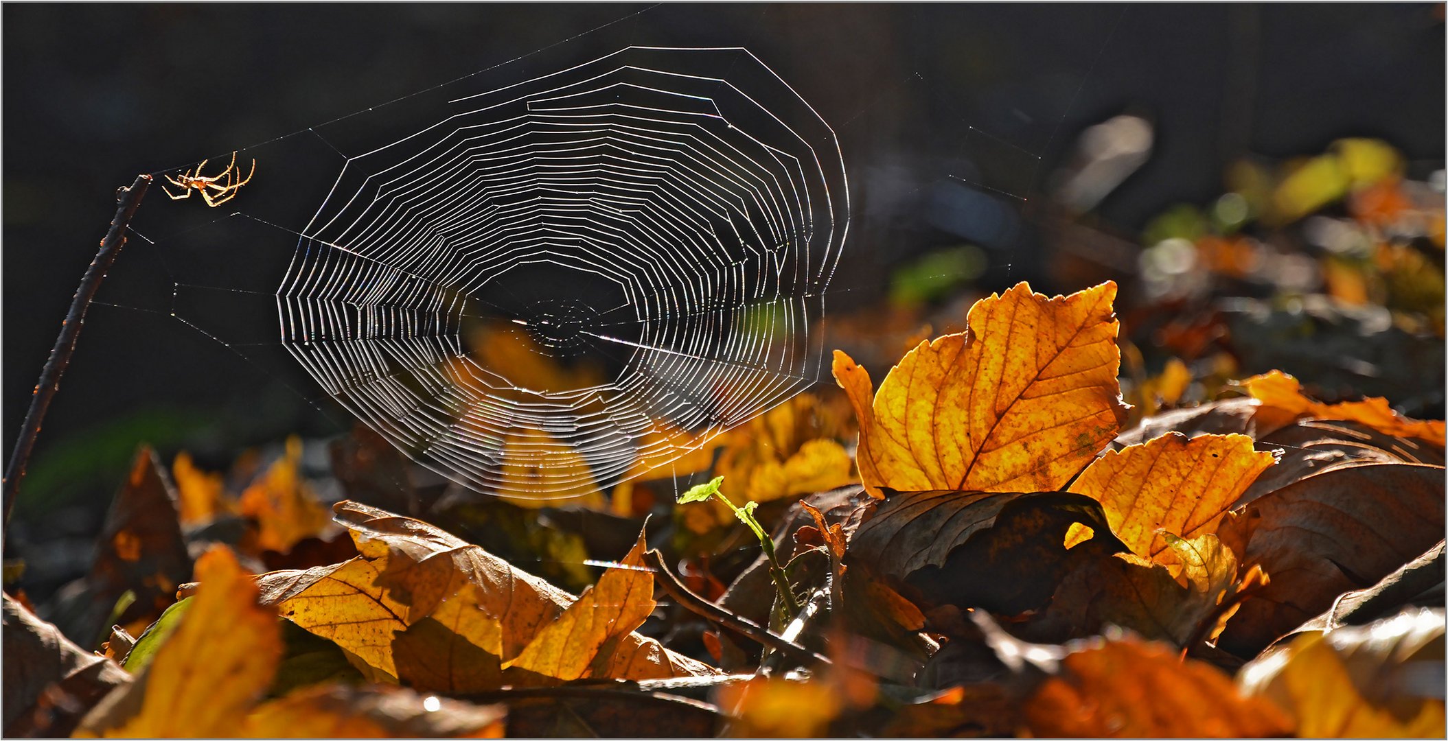 Herbststimmung überall   . . .