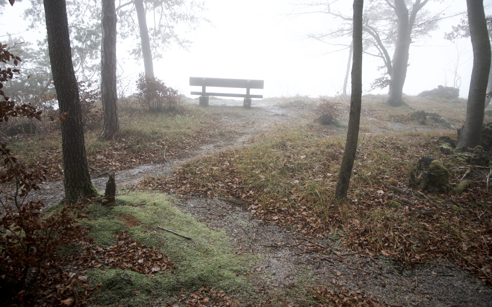 Herbststimmung überm Röthelfels