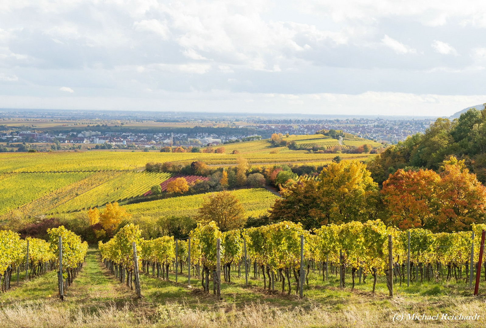 Herbststimmung um Kallstadt