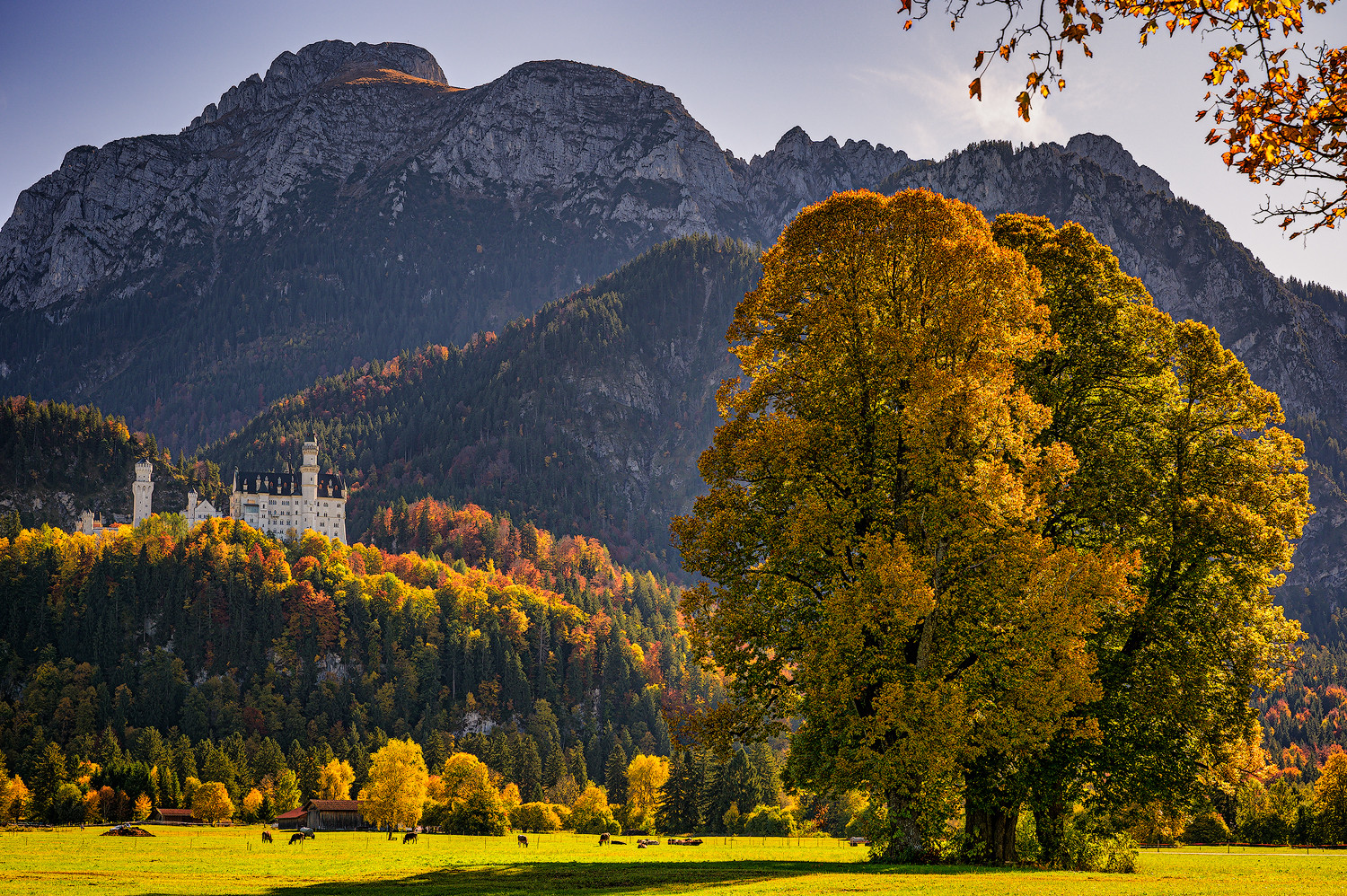 Herbststimmung und Neuschwanstein