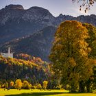 Herbststimmung und Neuschwanstein