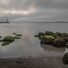 Herbststimmung und Niedrigwasser