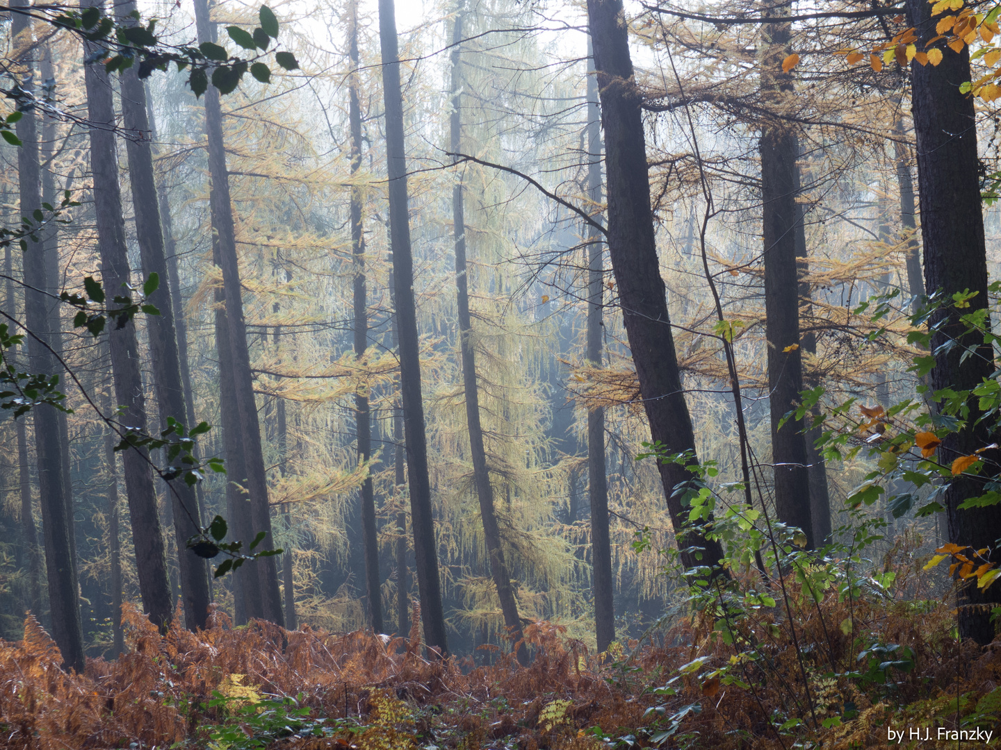 Herbststimmung vor 10 Jahren