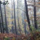 Herbststimmung vor 10 Jahren