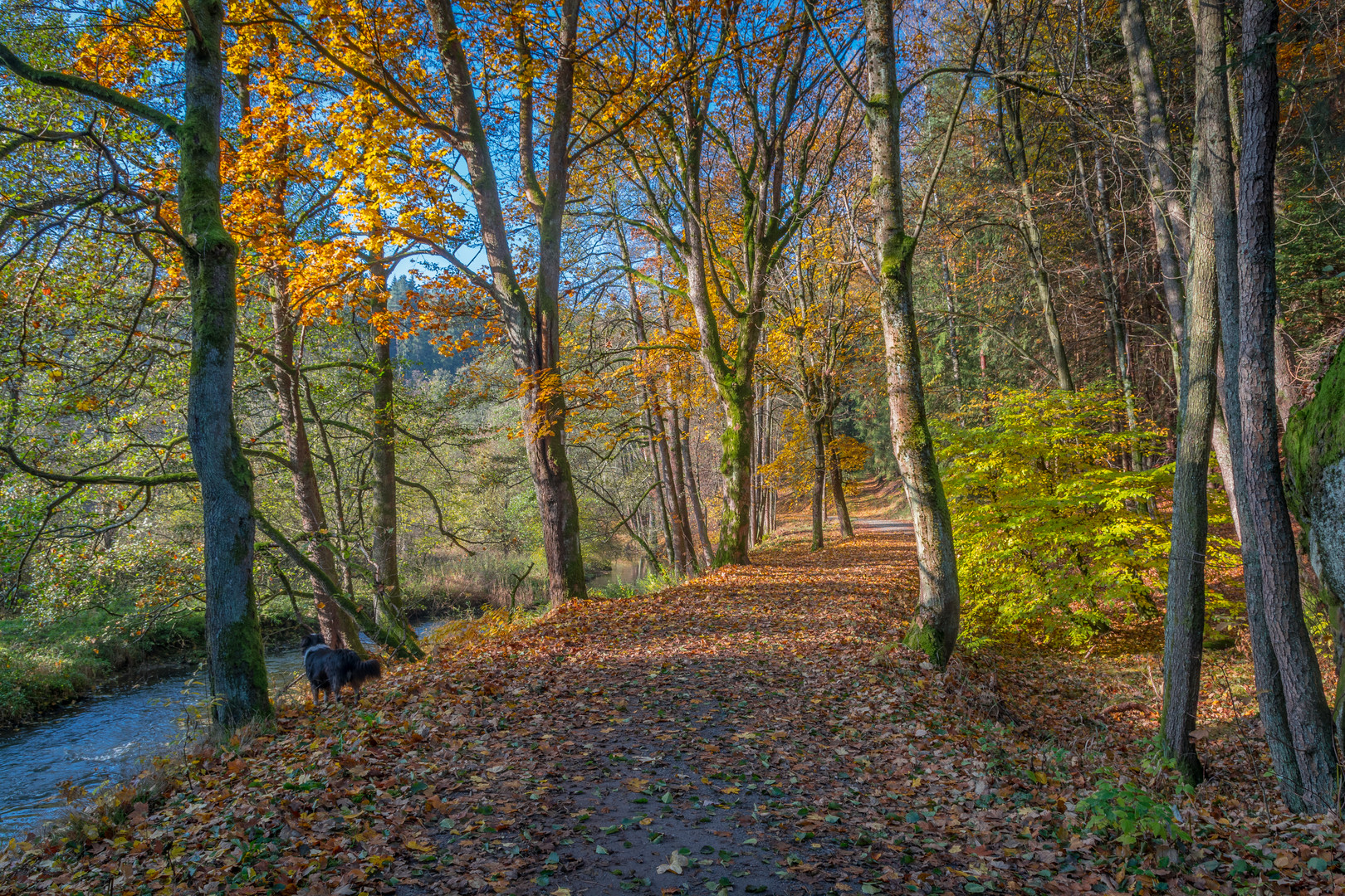 Herbststimmung - Waldnaabtal