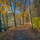 Herbststimmung - Waldnaabtal