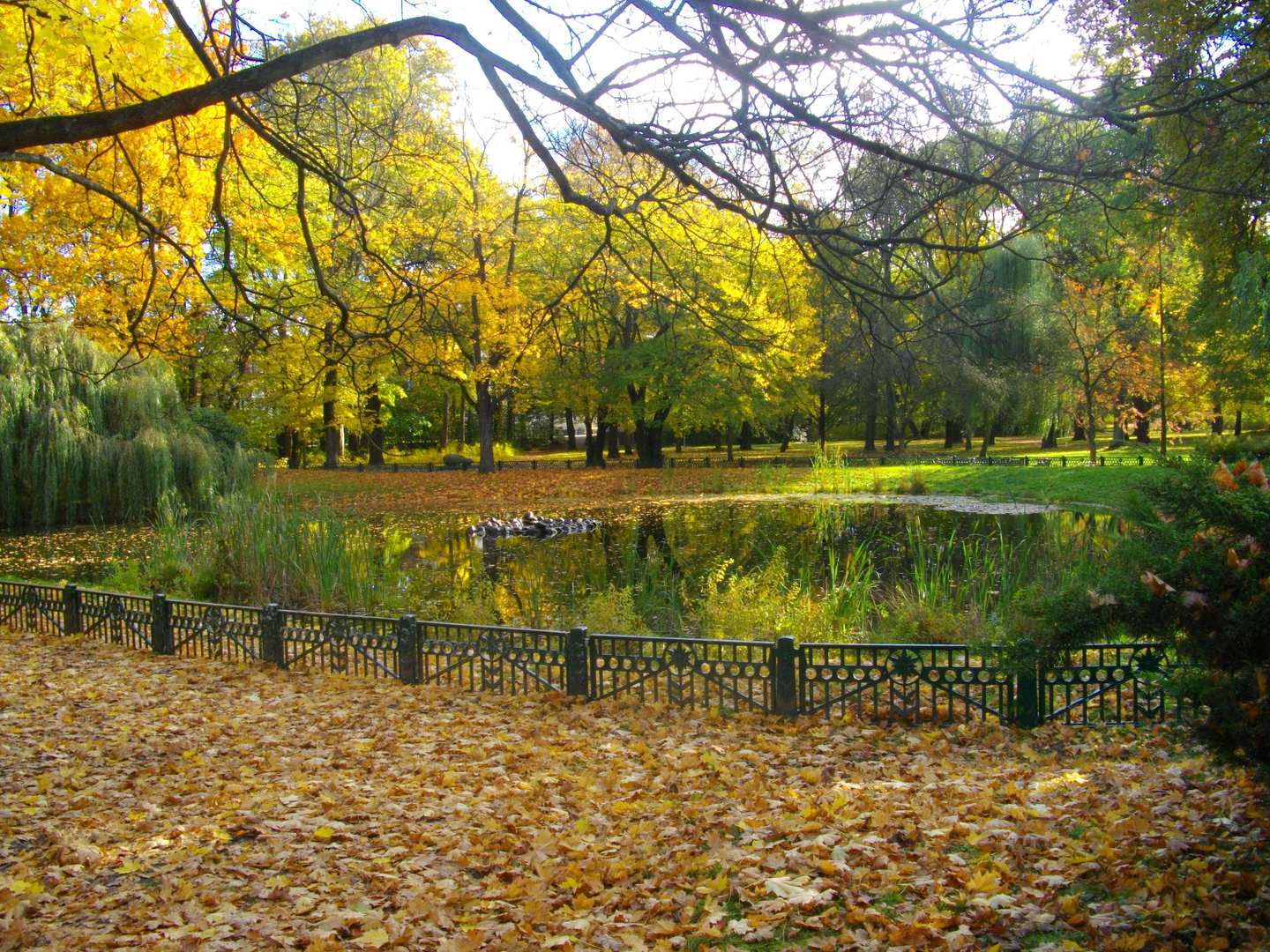 Herbststimmung Wurzen