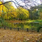 Herbststimmung Wurzen