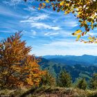 Herbststimmung Zürcher Oberland