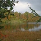 Herbststimmung..10