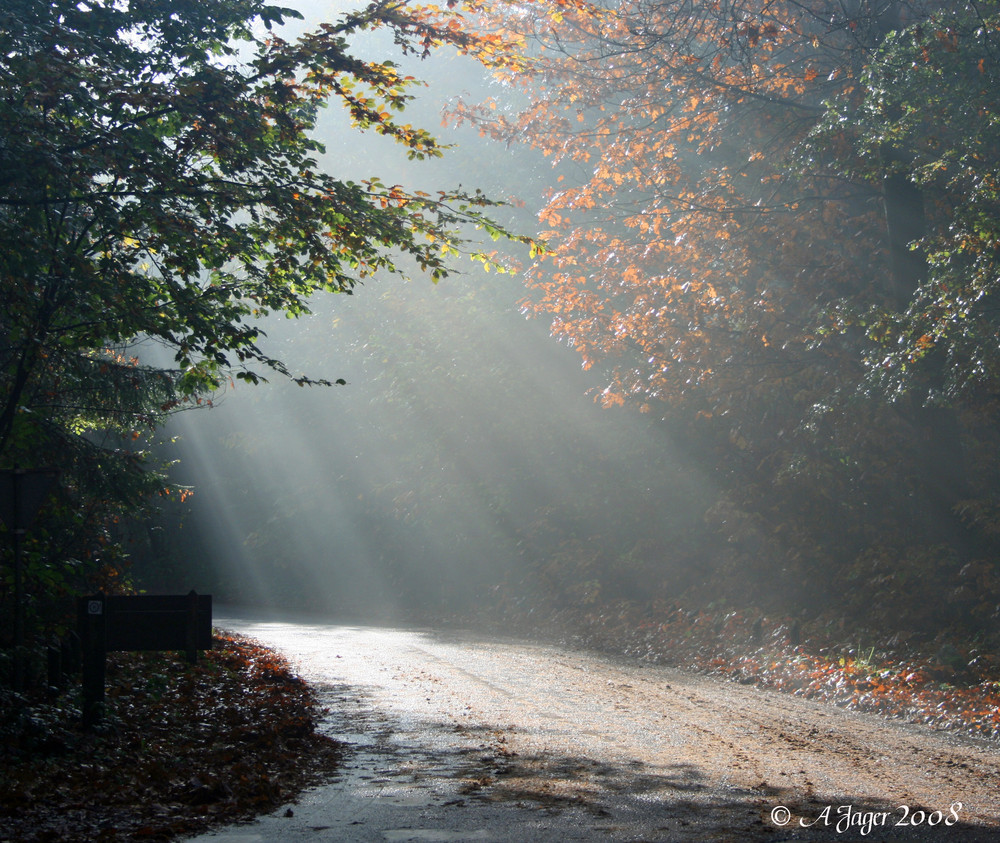 Herbststimmung..14