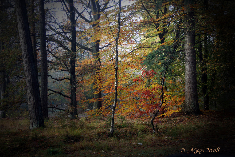 Herbststimmung..16