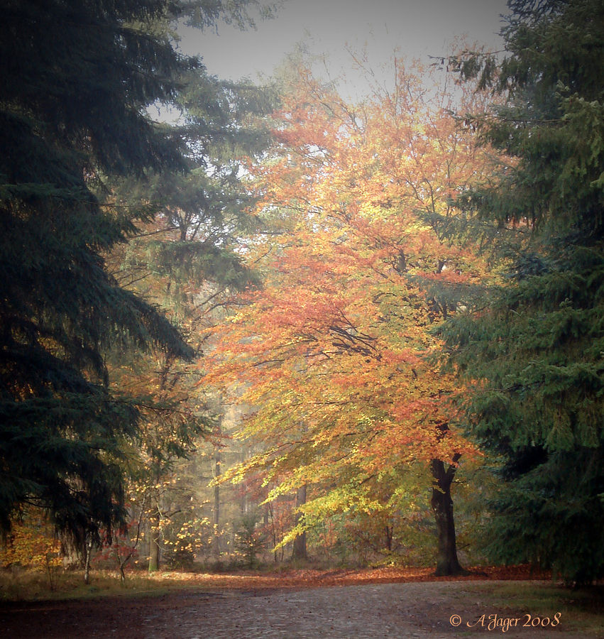 Herbststimmung..17