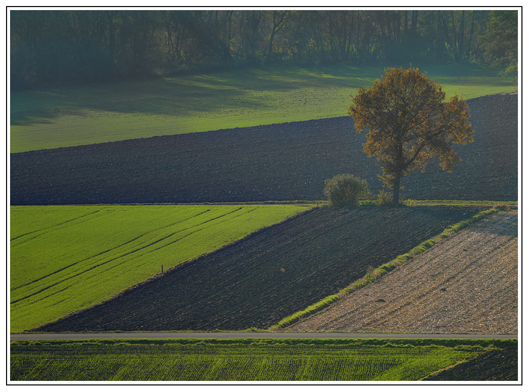 Herbststimmung2