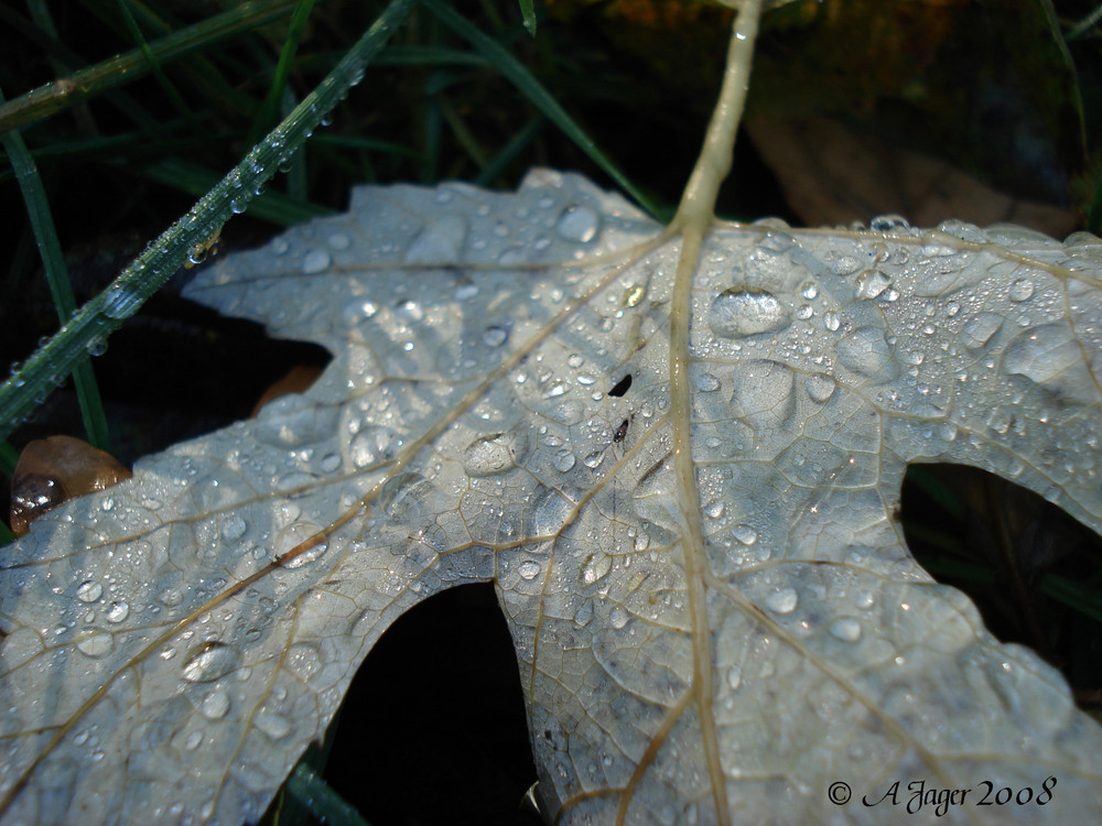 Herbststimmung..22