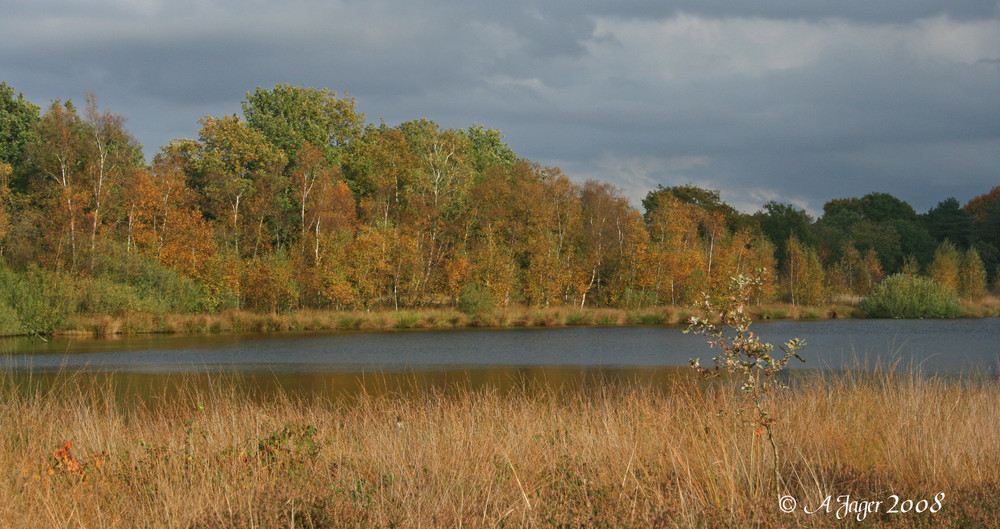 Herbststimmung..7