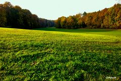 Herbststimmungen (4)