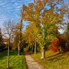 Herbststimmungen (7)