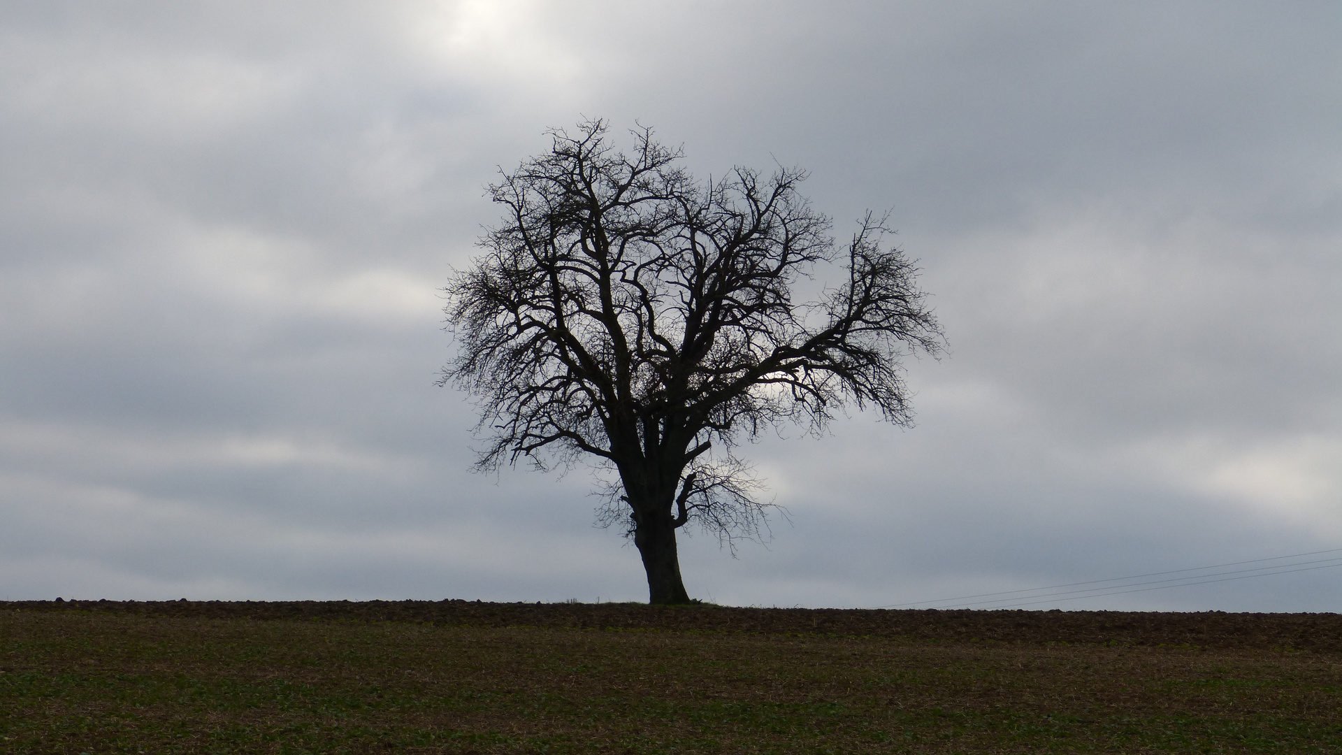 Herbststimmungen