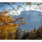 Herbststimmungen am Ritten Südtirol