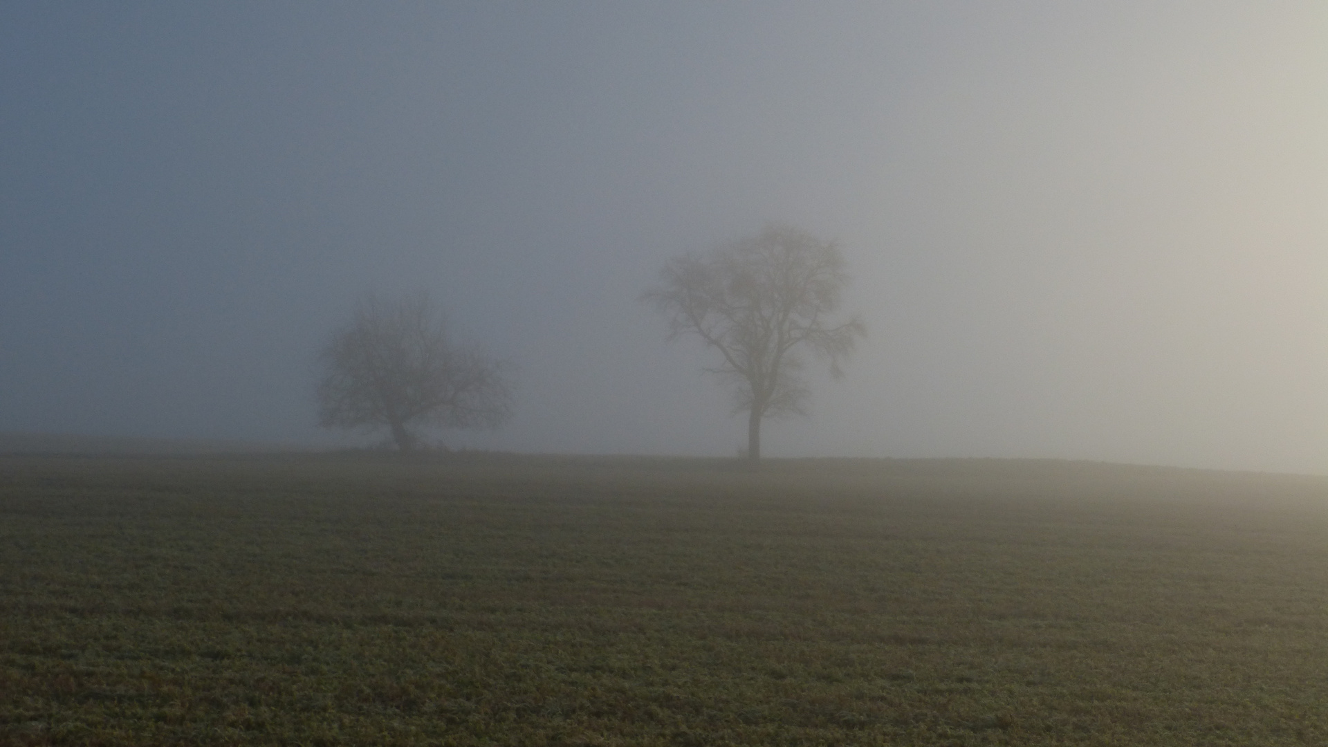 Herbststimmungen