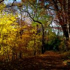 Herbststimmung...I