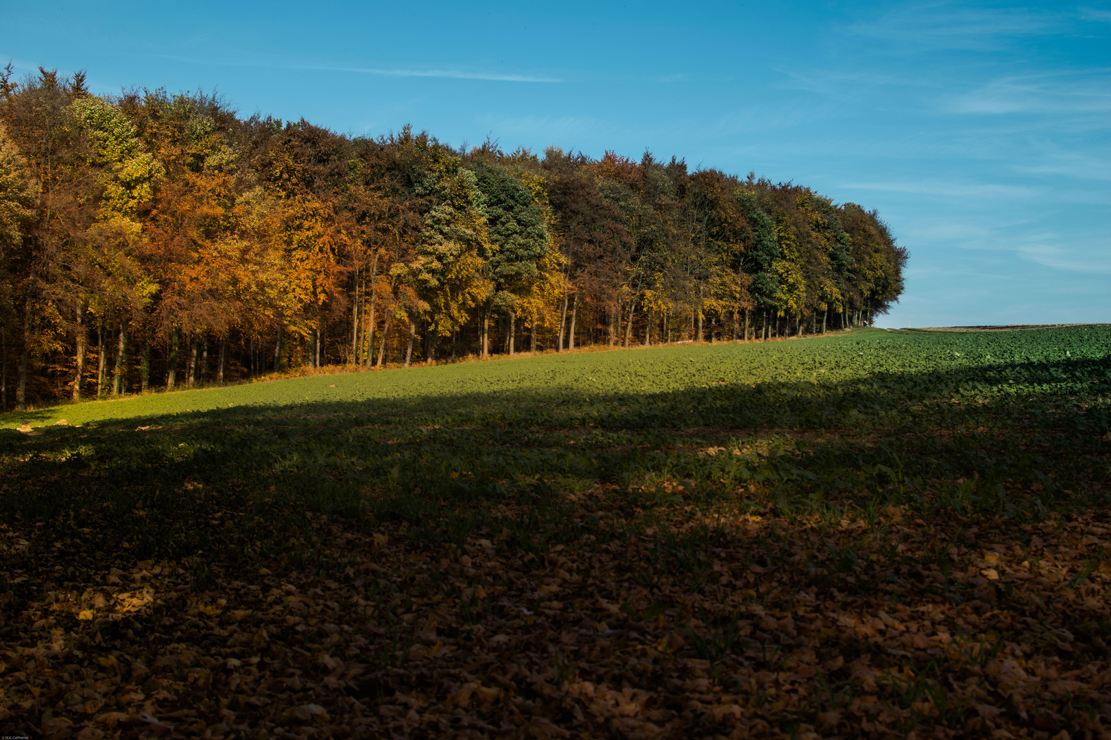 Herbststimmung...III