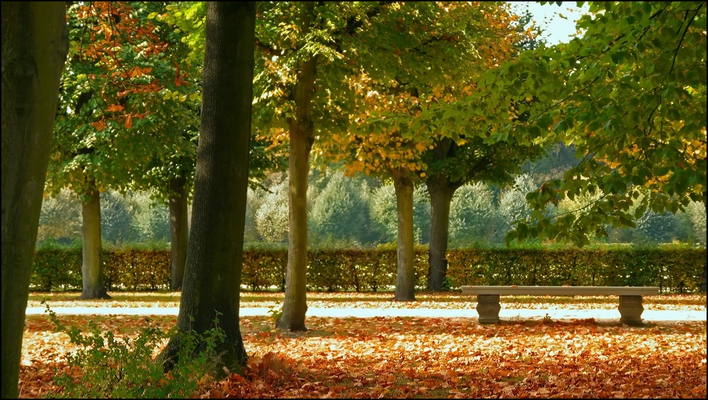 Herbststimmung/Schloßpark