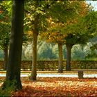 Herbststimmung/Schloßpark