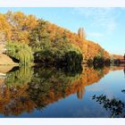 Herbststimung am Neckar