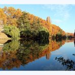 Herbststimung am Neckar