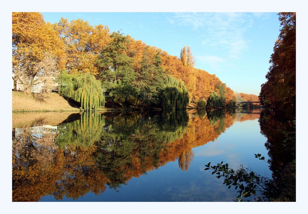 Herbststimung am Neckar