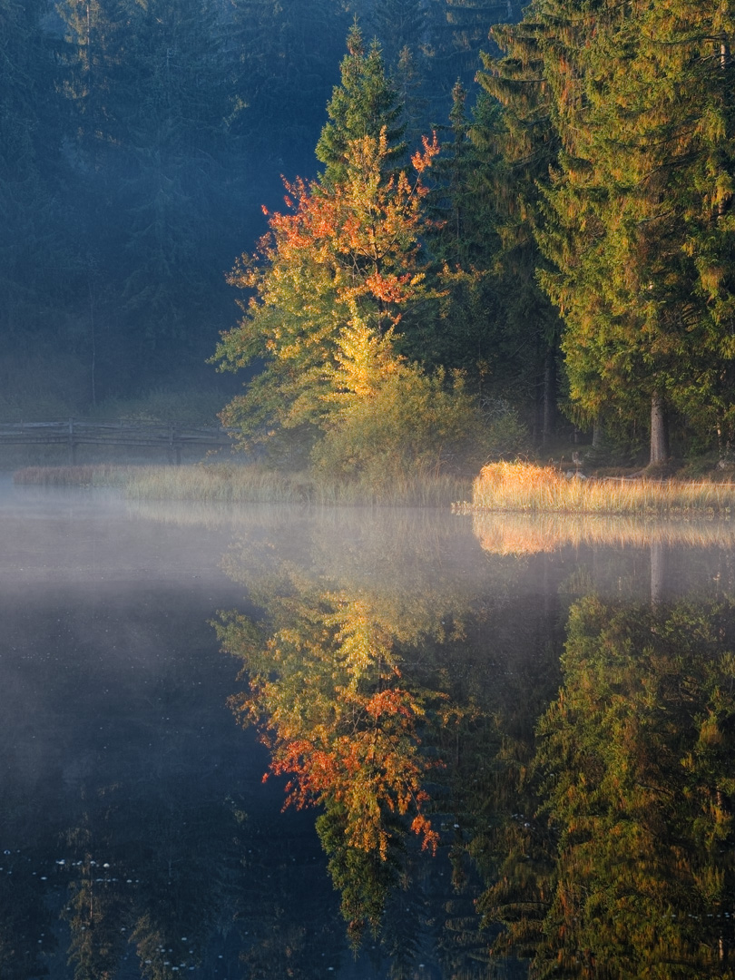 Herbststräusschen