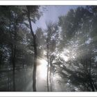 Herbststrahlen
